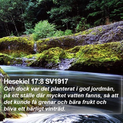 Hesekiel 17:8 SV1917 Bible Verse Image