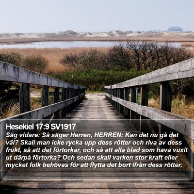 Hesekiel 17:9 SV1917 Bible Verse Image