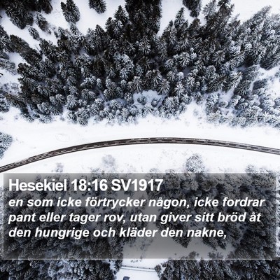 Hesekiel 18:16 SV1917 Bible Verse Image