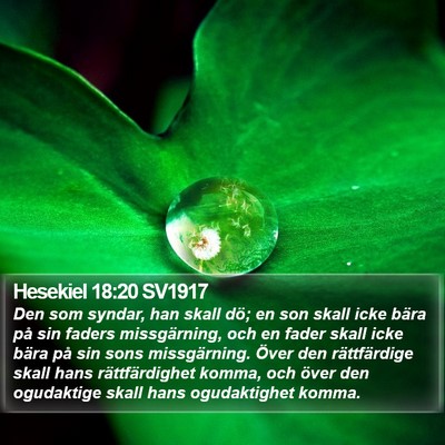 Hesekiel 18:20 SV1917 Bible Verse Image