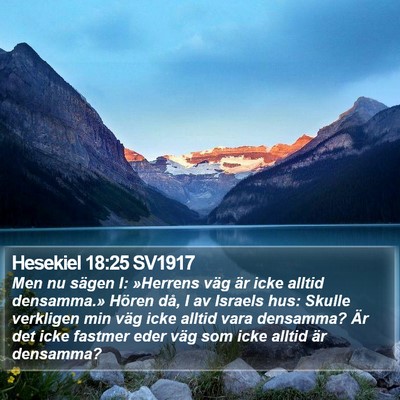 Hesekiel 18:25 SV1917 Bible Verse Image