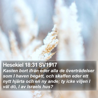 Hesekiel 18:31 SV1917 Bible Verse Image