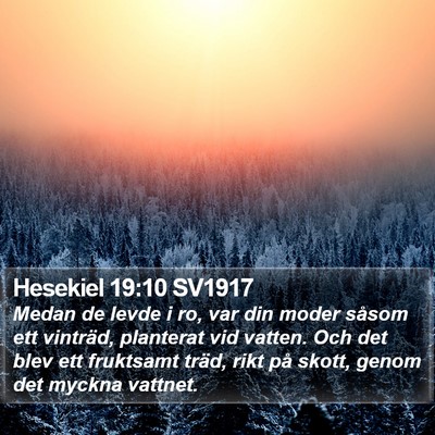 Hesekiel 19:10 SV1917 Bible Verse Image