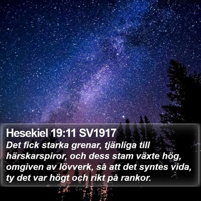 Hesekiel 19:11 SV1917 Bible Verse Image