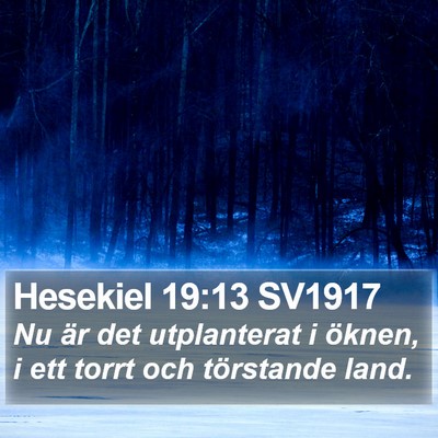 Hesekiel 19:13 SV1917 Bible Verse Image