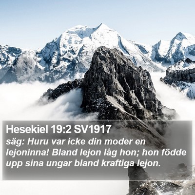 Hesekiel 19:2 SV1917 Bible Verse Image