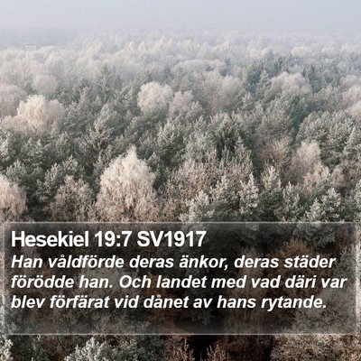 Hesekiel 19:7 SV1917 Bible Verse Image