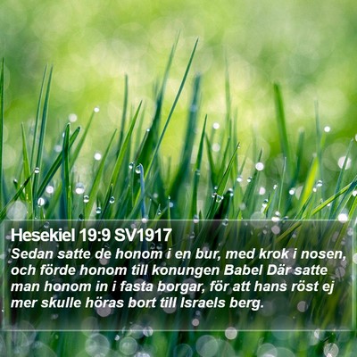 Hesekiel 19:9 SV1917 Bible Verse Image