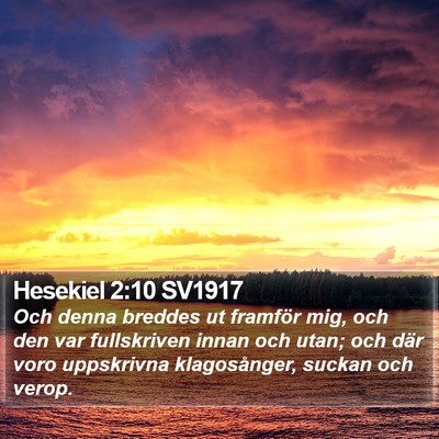 Hesekiel 2:10 SV1917 Bible Verse Image