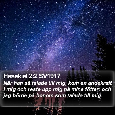 Hesekiel 2:2 SV1917 Bible Verse Image