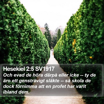 Hesekiel 2:5 SV1917 Bible Verse Image