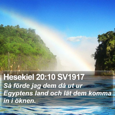 Hesekiel 20:10 SV1917 Bible Verse Image