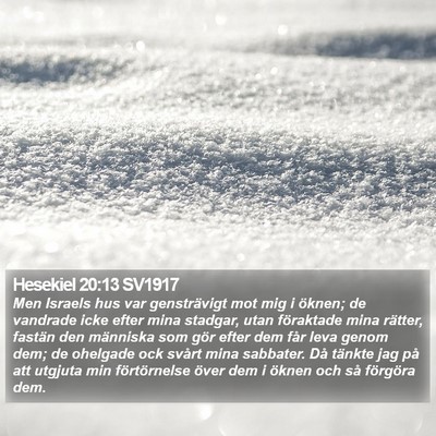 Hesekiel 20:13 SV1917 Bible Verse Image