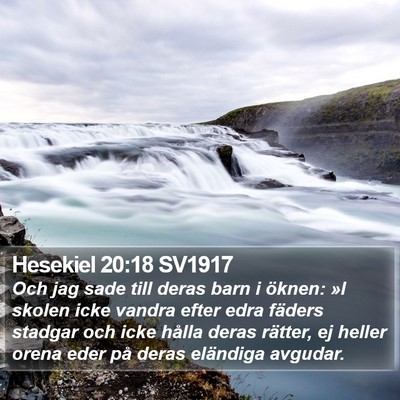 Hesekiel 20:18 SV1917 Bible Verse Image