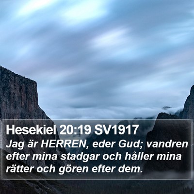 Hesekiel 20:19 SV1917 Bible Verse Image