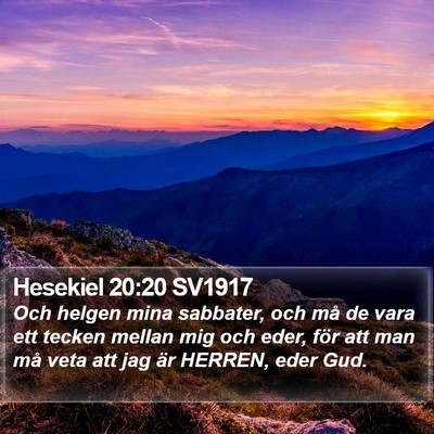 Hesekiel 20:20 SV1917 Bible Verse Image