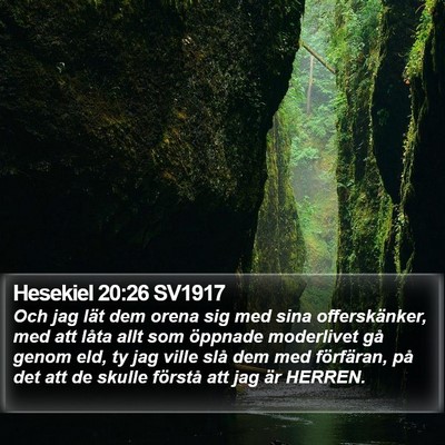 Hesekiel 20:26 SV1917 Bible Verse Image