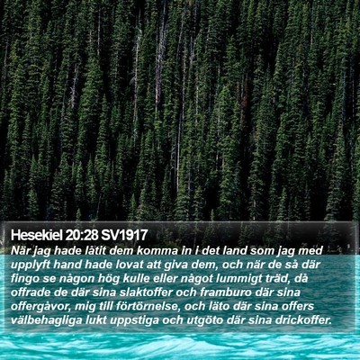 Hesekiel 20:28 SV1917 Bible Verse Image