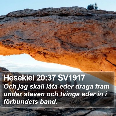 Hesekiel 20:37 SV1917 Bible Verse Image