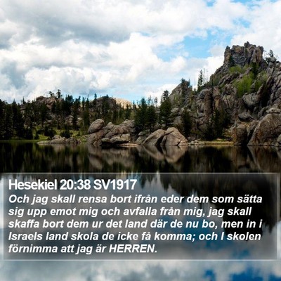 Hesekiel 20:38 SV1917 Bible Verse Image