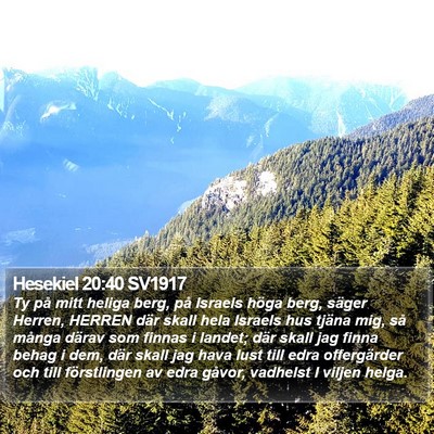 Hesekiel 20:40 SV1917 Bible Verse Image