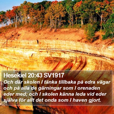 Hesekiel 20:43 SV1917 Bible Verse Image