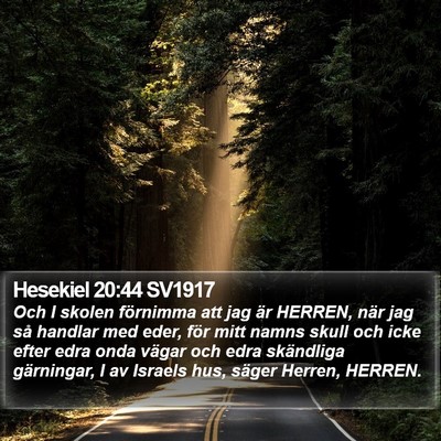 Hesekiel 20:44 SV1917 Bible Verse Image