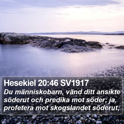 Hesekiel 20:46 SV1917 Bible Verse Image