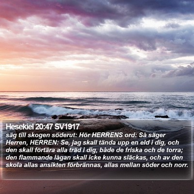 Hesekiel 20:47 SV1917 Bible Verse Image