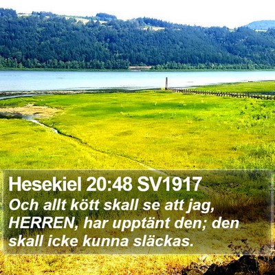 Hesekiel 20:48 SV1917 Bible Verse Image