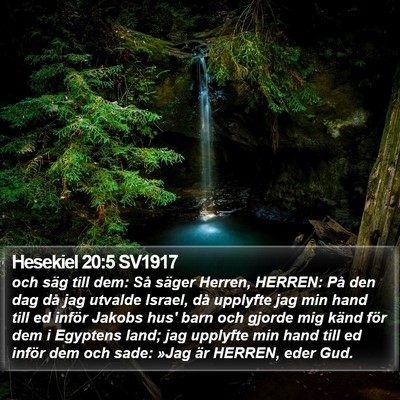 Hesekiel 20:5 SV1917 Bible Verse Image