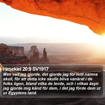 Hesekiel 20:9 SV1917 Bible Verse Image