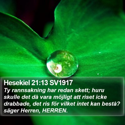 Hesekiel 21:13 SV1917 Bible Verse Image