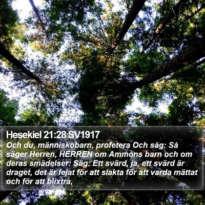 Hesekiel 21:28 SV1917 Bible Verse Image