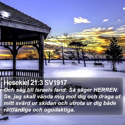 Hesekiel 21:3 SV1917 Bible Verse Image