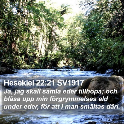 Hesekiel 22:21 SV1917 Bible Verse Image