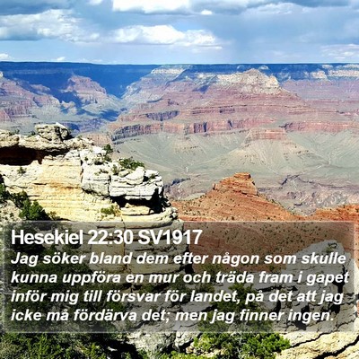 Hesekiel 22:30 SV1917 Bible Verse Image