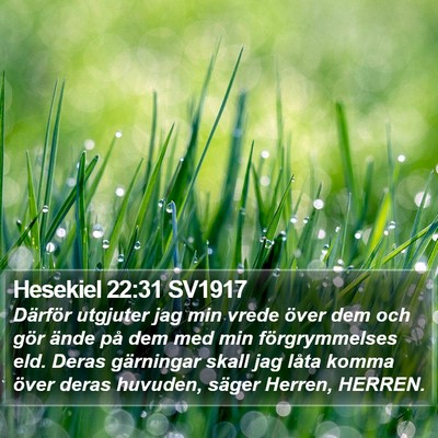 Hesekiel 22:31 SV1917 Bible Verse Image