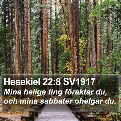 Hesekiel 22:8 SV1917 Bible Verse Image