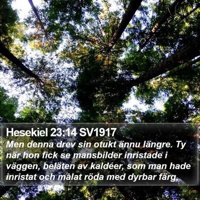 Hesekiel 23:14 SV1917 Bible Verse Image