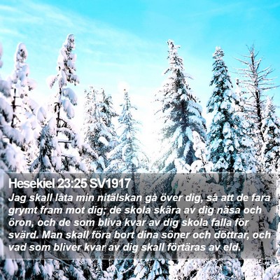 Hesekiel 23:25 SV1917 Bible Verse Image