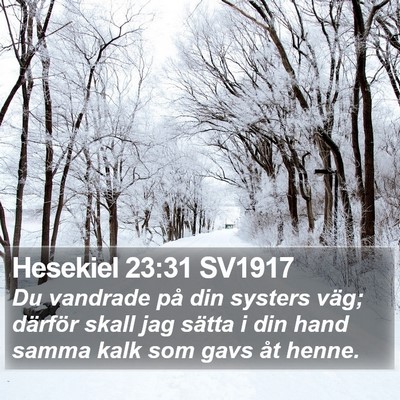 Hesekiel 23:31 SV1917 Bible Verse Image