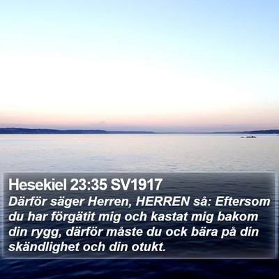 Hesekiel 23:35 SV1917 Bible Verse Image