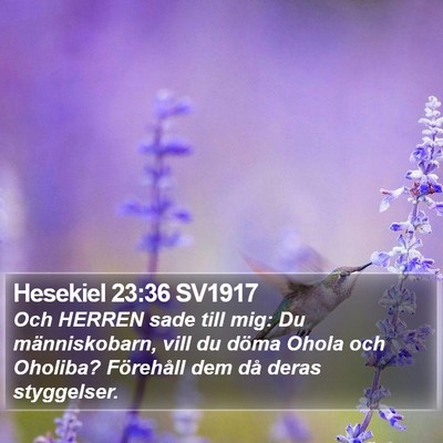 Hesekiel 23:36 SV1917 Bible Verse Image