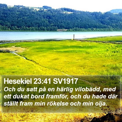 Hesekiel 23:41 SV1917 Bible Verse Image