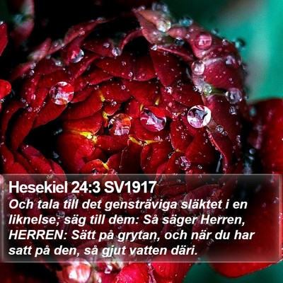 Hesekiel 24:3 SV1917 Bible Verse Image