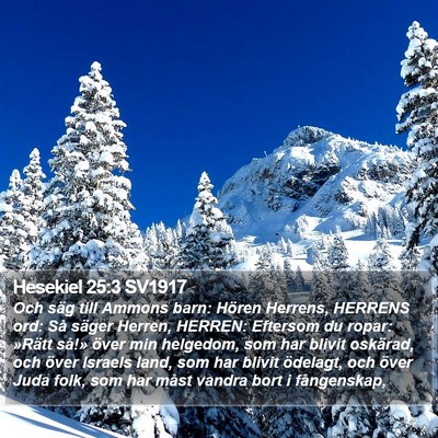 Hesekiel 25:3 SV1917 Bible Verse Image