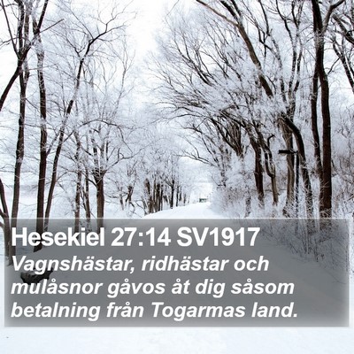 Hesekiel 27:14 SV1917 Bible Verse Image