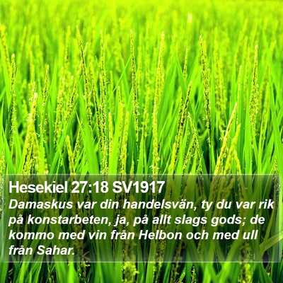 Hesekiel 27:18 SV1917 Bible Verse Image