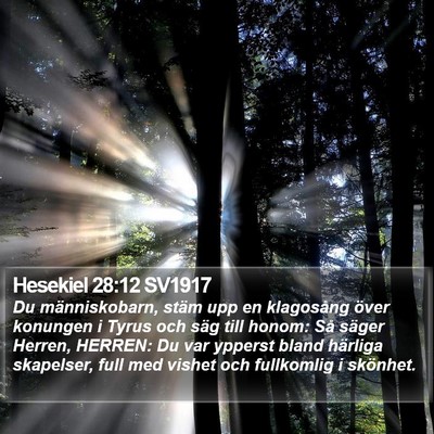 Hesekiel 28:12 SV1917 Bible Verse Image